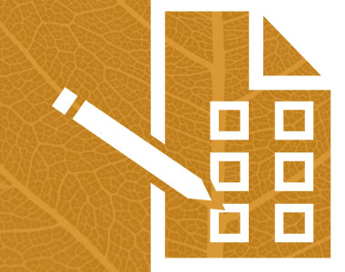 leistung-projektleitung_rechteck