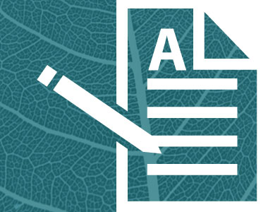 leistung-text_rechteck